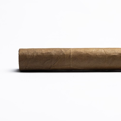 AVO XO Notturno ND Cello Cigar - 1 Single